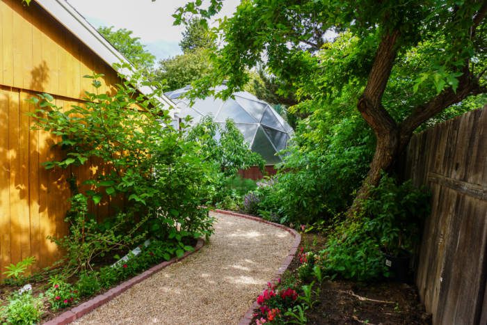 lush pathway to greenhouse