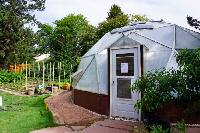 Gary & Cindy's food forest climate battery greenhouse in their backyard