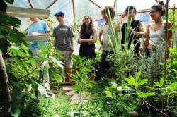Students conducting research in a Growing Dome greenhouse