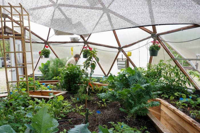 Growing Dome Greenhouse garden
