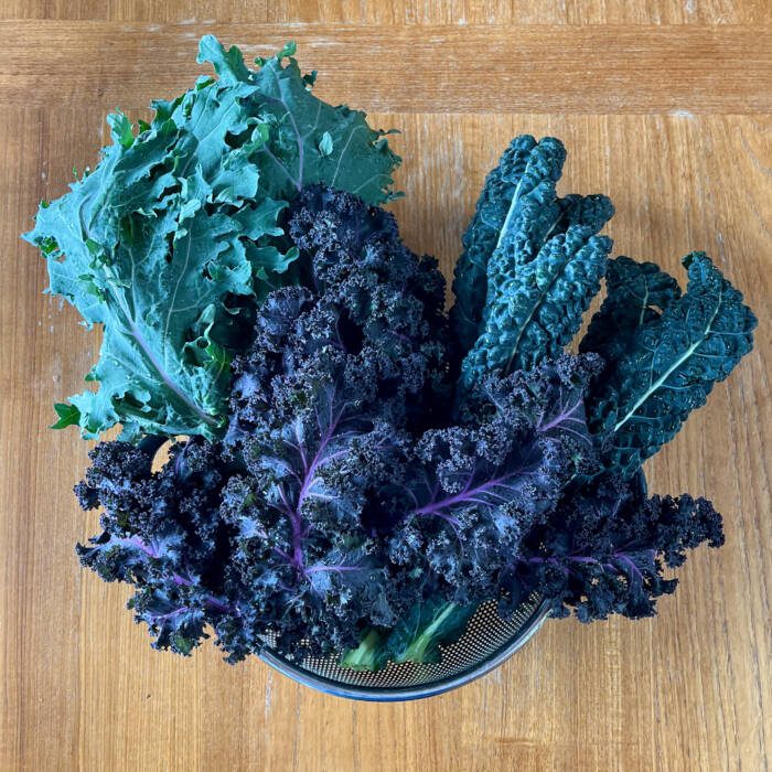assortment of freshly harvested kale