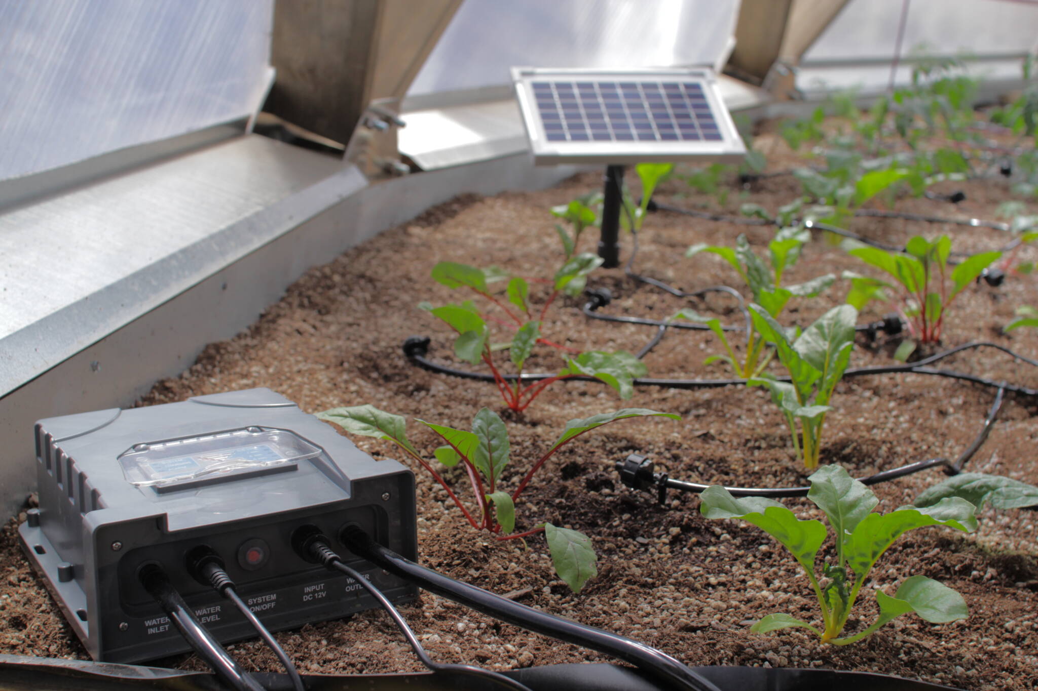 Automatic solar powered drip irrigation system in growing dome greenhouse