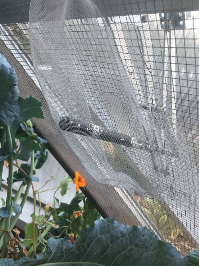 vent screen to keep rodents out of the garden