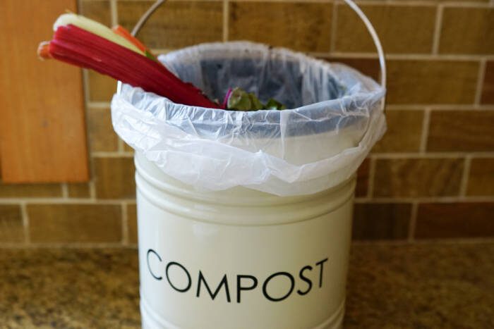 stems in compost pail