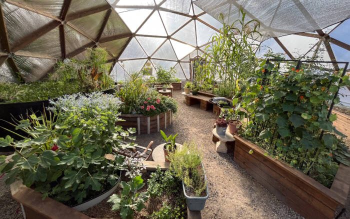 geodesic greenhouse garden growing in the summer