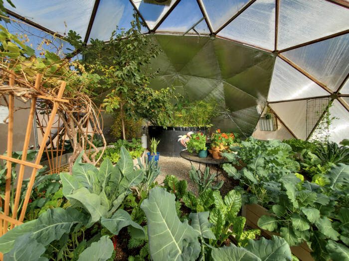 growing dome greenhouse garden