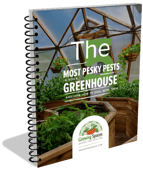 The Top 5 Greenhouse Pest  Cover Image For the PDF Download Booklet