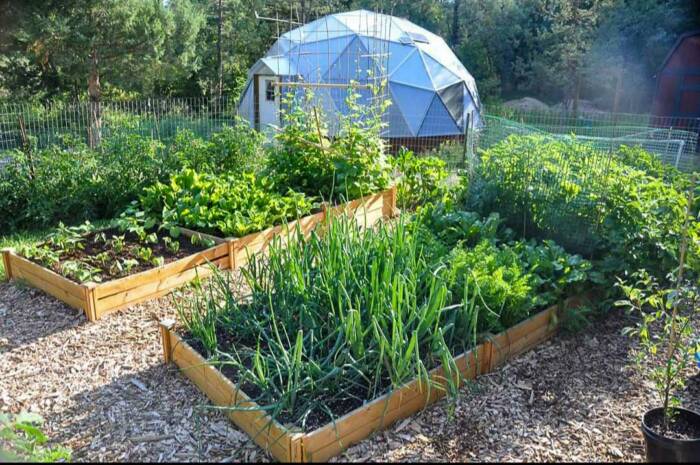Growing Spaces dome with raised beds overflowing with vegetables in the foreground