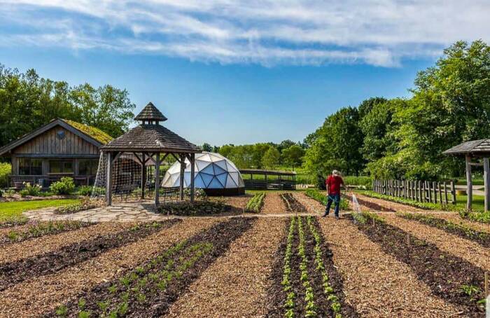 person watering plants planted in rows in a field, a gazebo, house and Growing Dome are behind him and deciduous trees line the property