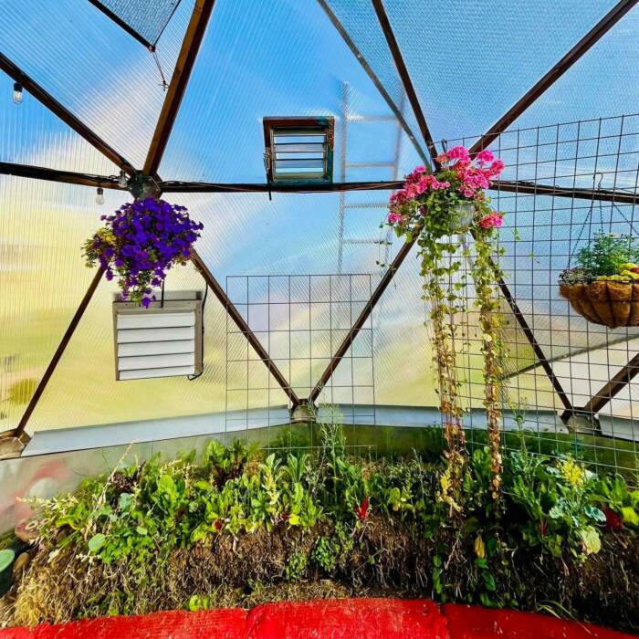 showing the pollinator window inside of a growing dome, the view is expanded out where you can see hanging baskets on the sides and a straw bale garden on the ground